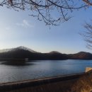 김순효자문 이미지