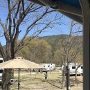 다솜이 야영장 이미지