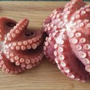 지산목련시장 이미지