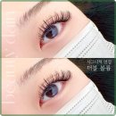 다인뷰티 이미지