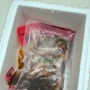 라무캠핑장 | 좋은 간편식품 추천 _ 김부인식품 레몬마라무뼈닭발 솔직 후기, ( 인스타레몬닭발, 매운레몬닭발 , 레몬...