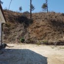 명랑공인중개사사무소 이미지