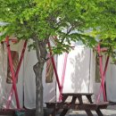 해오름 글램핑 이미지