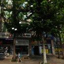 대원빌라 앞 이미지