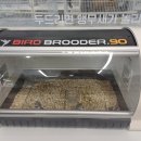 앵무새동물원 이미지