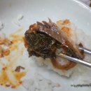 금갈치은고등어 이미지