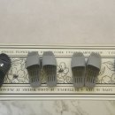 바디케어지압원 이미지