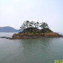 작은장구섬 Daum백과