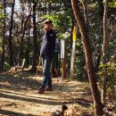 대전둘레산길(7구간) | 대전 둘레산길 7구간(2025.10.28)