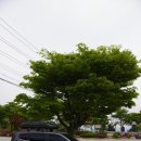 산내들민박 이미지