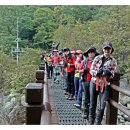 지게골로 이미지