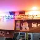 달리자포차 이미지