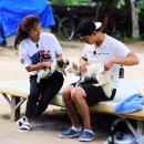 삼시세끼 이미지