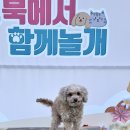 함께놀개 이미지