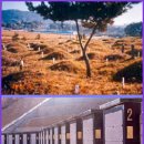PARK BOK SOON(박복순) | [스크랩] 풍수적 관점에서 본 추모공원[환경과 조경 /고제희..발췌]