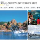 제일인쇄사 - 남구 | 호주 골드코스트 씨월드 후기, 돌고래쇼 앱 티켓 등록법 어트랙션 할인 정보