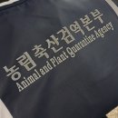 은전사