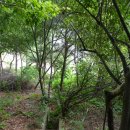 꽃봉산 아래 이미지