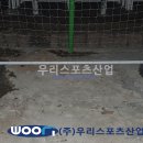서울월천초등학교 티스토리