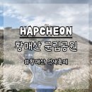 황매산군립공원 | 경북 가을 축제 황매산 군립공원 억새축제 후기