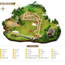 금능초등학교 이미지