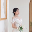 하이,포포 이미지
