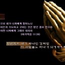 주님의 뜻을 외면한 저를 용서해 주시기를 간구합니다. 이미지