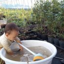 자매농장 이미지