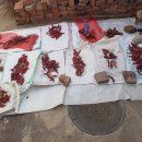 부산이용소 이미지