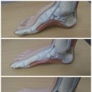 U PT STUDIO 이미지