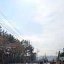 논공중앙로 이미지