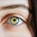 으뜸50안경삼성점 이미지