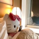 더큰사랑의원 | 피카츄일상일기_비앤영의원 코젤코 상담하구온 후기 ••(수술예약 o..)