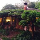 박터진흥부네 이미지