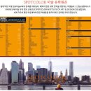 스팟칼라미술학원 이미지