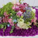 여주-1018 이미지