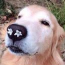 마당한정식 이미지