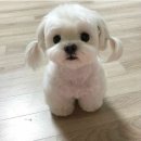 나아PC 이미지