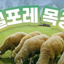 세종목장 이미지