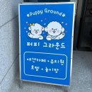 [전남 목포] 목포 애견동반/목포애견카페/목포실내애견카페 퍼피그라운드