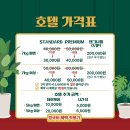 멍냥스테이 애견호텔유치원 이미지