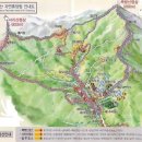 자연동산 | 축령산 자연 휴양림에서 철쭉동산 관람후기