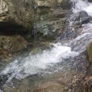 모심정민박 이미지