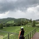 이춘봉인생치킨보성 이미지