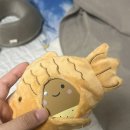 백자세탁소 | 천방지축 어리둥절 굴러가는 하루들