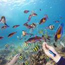 ㈜즐거운여행 이미지