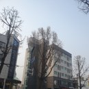 수원역더블유공인중개사사무소 | 수원부동산 수원역 상권에서 찾은 나만의 공간 후기