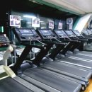 돌고래헬스클럽 이미지