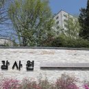 문재인 정부 감사한 감사관 육아휴직 막은 감사원 이미지