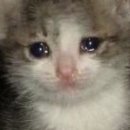 무안톱관광펜션 이미지